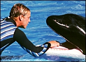 seaworld_01.jpg (29605 bytes)